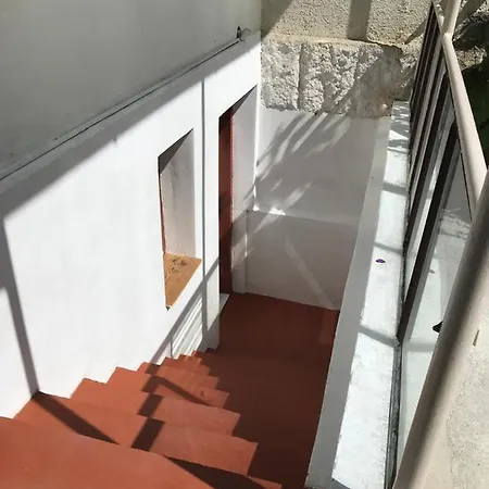 The Secret Shelter